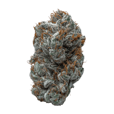 CONTRABAND PANAMA (S) DRIED - 7G