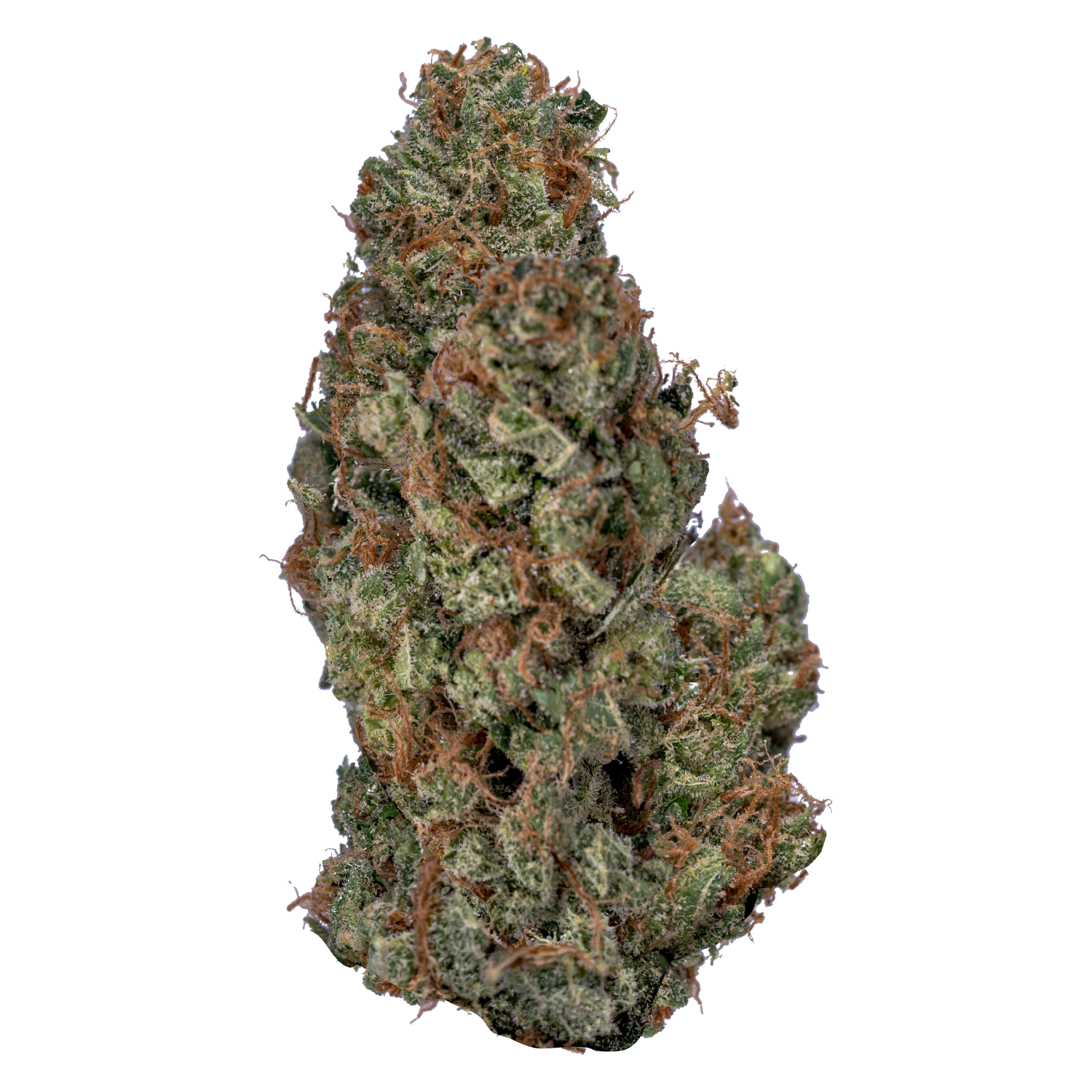 VALUE BUDS SATIVA (S) DRIED - 28G