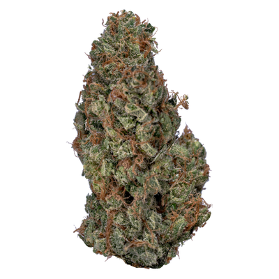 VALUE BUDS SATIVA (S) DRIED - 28G