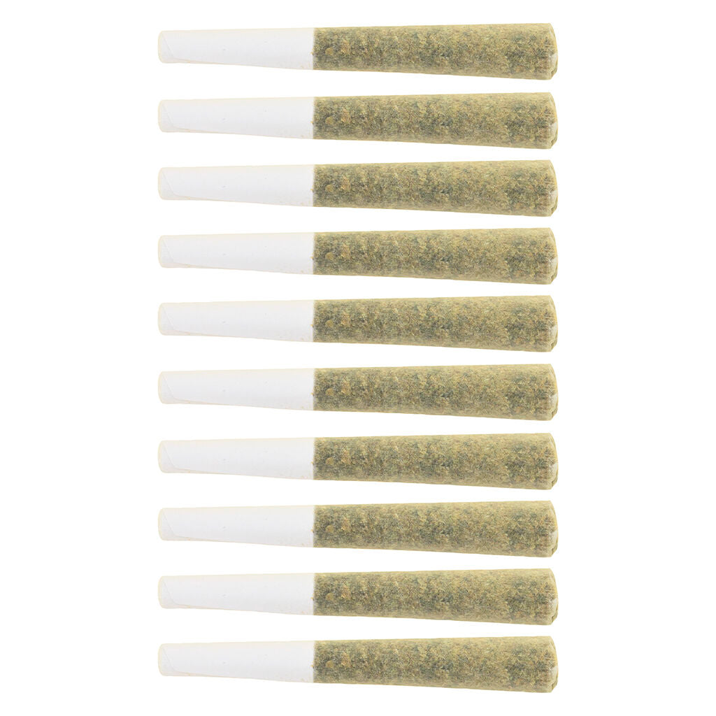 THE LOUD PLUG LEMON GELATO (H) PRE-ROLL - 0.5G X 10