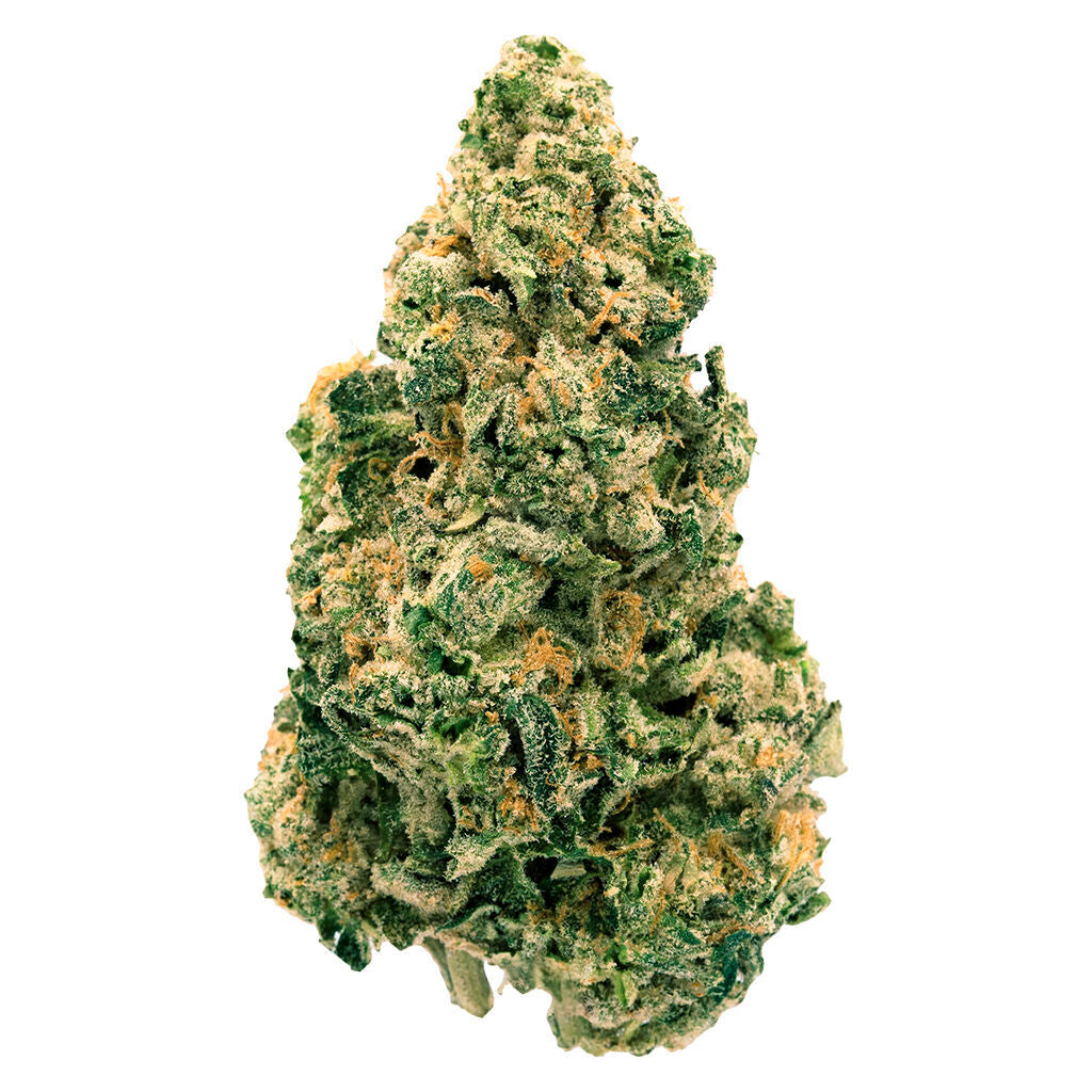 BACK FORTY GALACTIC JACK (S) DRIED - 7G