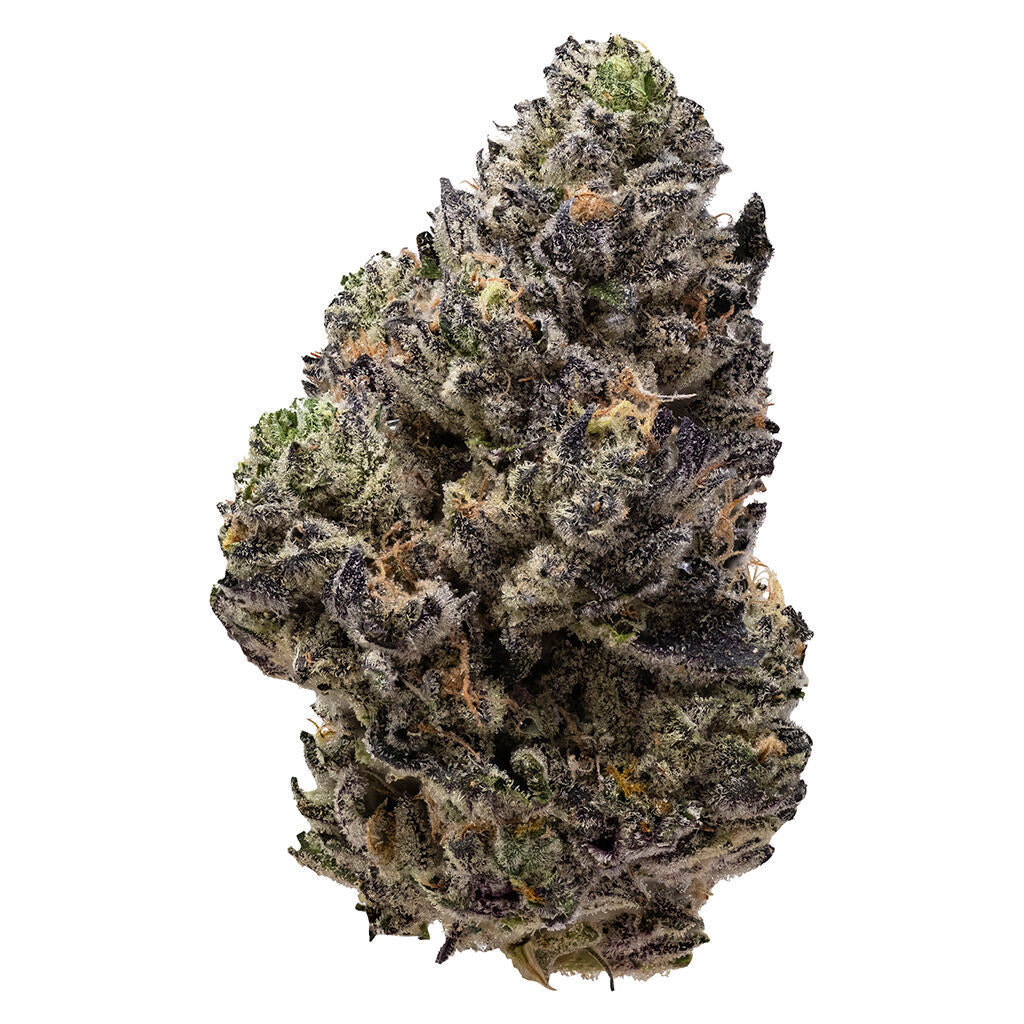 PISTOL AND PARIS PERMANENT CHAPO (IND) DRIED - 7G