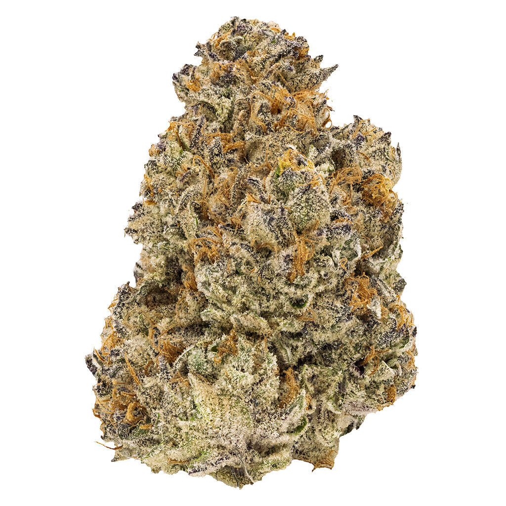 FIGR CHATTY KATHY (S) DRIED - 28G