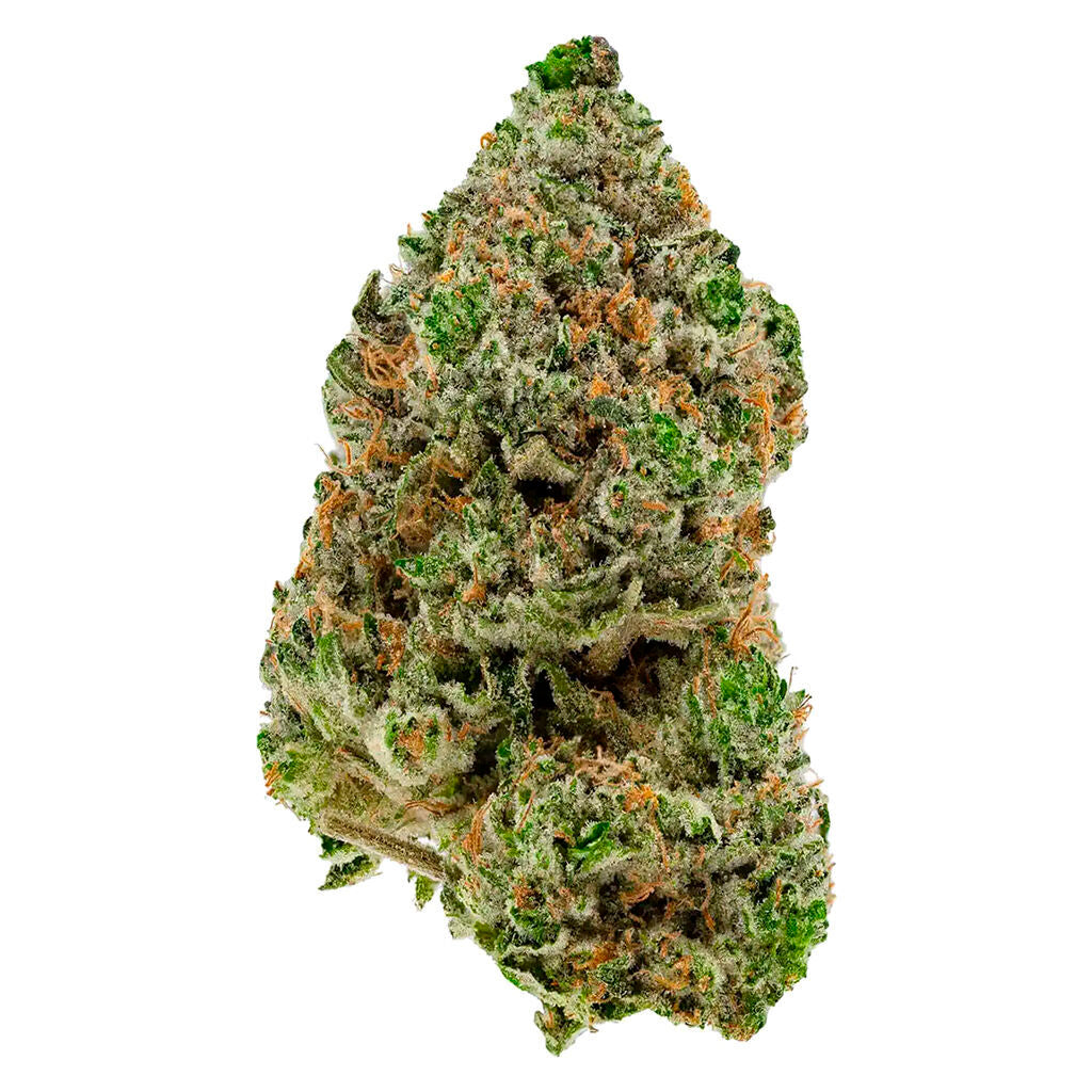 SIMPLY BARE BC ORGANIC HIBACHI BLUE (IND) DRIED - 7G