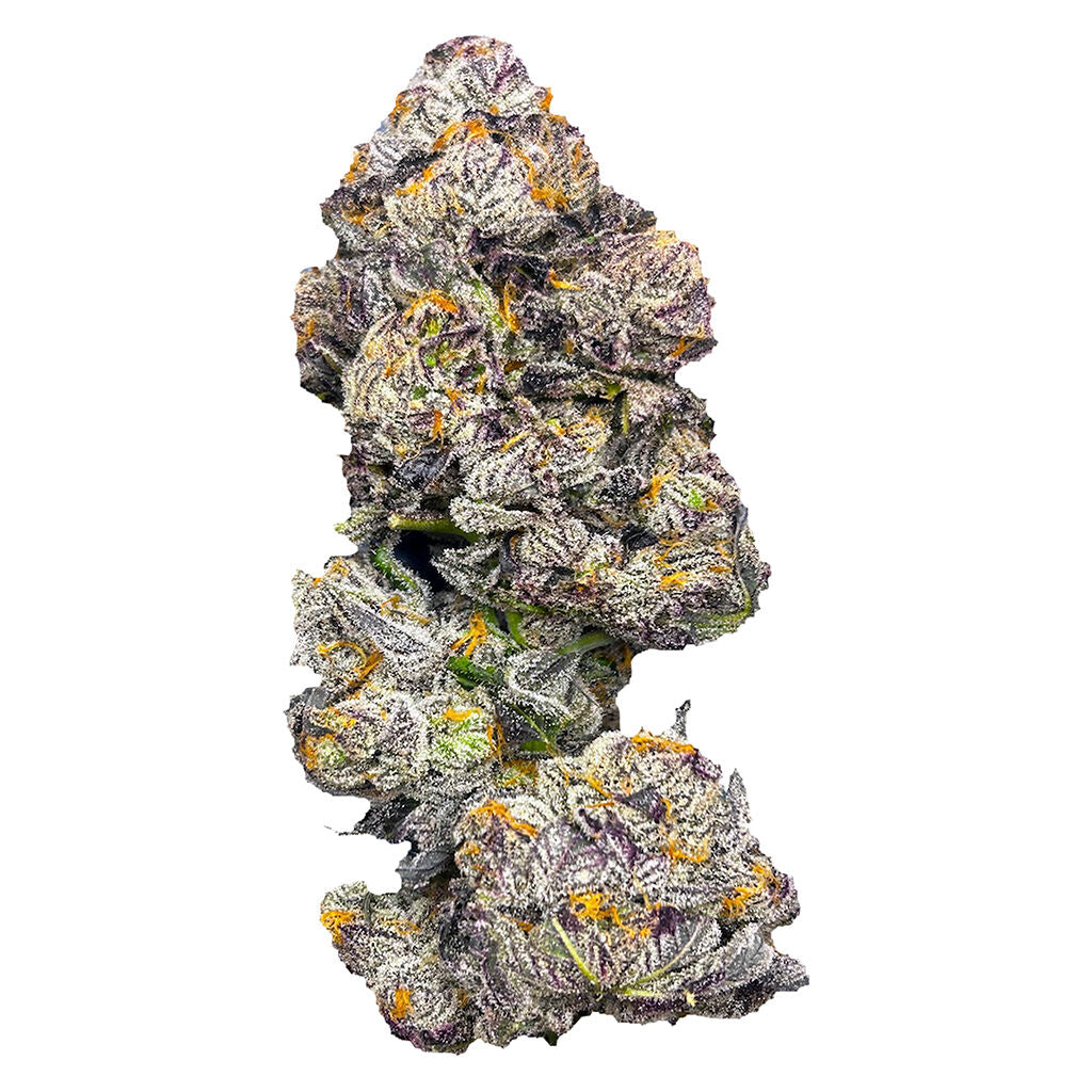 CASTLE ROCK FARMS GASTROPOP (IND) DRIED - 28G