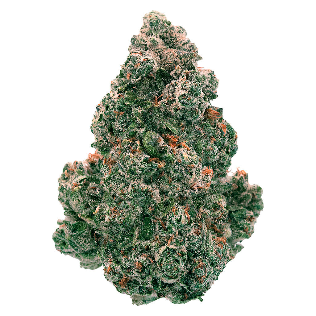 BACK FORTY LIQUID IMAGINATION (H) DRIED - 3.5G