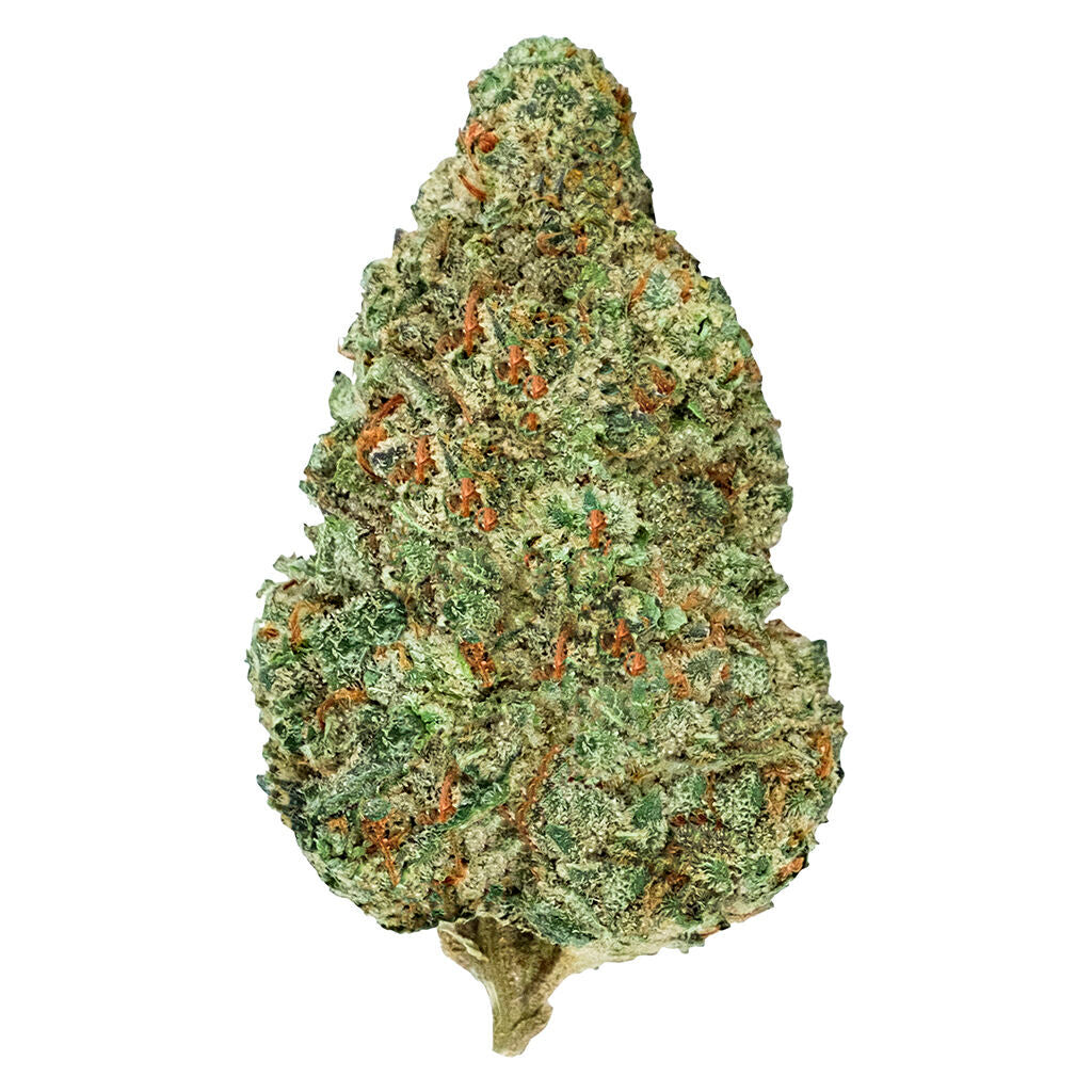 BACK FORTY CHEMZILLA (IND) DRIED - 3.5G