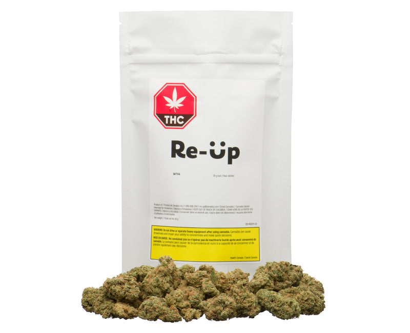 RE-UP SATIVA (S) DRIED - 28G