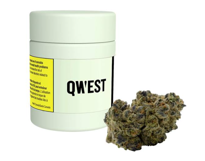 QWEST STUFFED FRENCH TOAST (H) DRIED - 3.5G