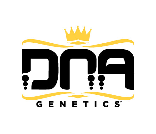 DNA GENETICS LEMON SKUNK (H) OIL - 40ML