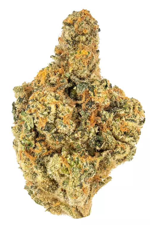 NATURAL HISTORY EGO CHECKER (H) DRIED - 3.5G