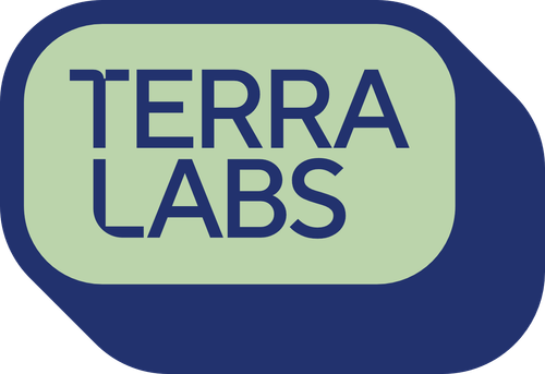 TERRA LABS LEMON HEADS (S) DRIED - 3.5G