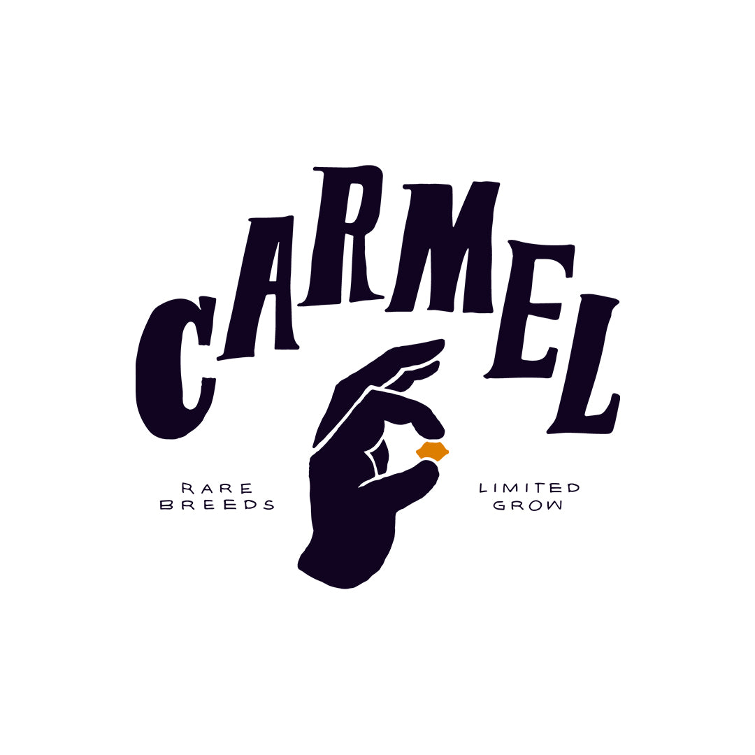 CARMEL SEXY AF (H) PRE-ROLL - 0.5G X 3