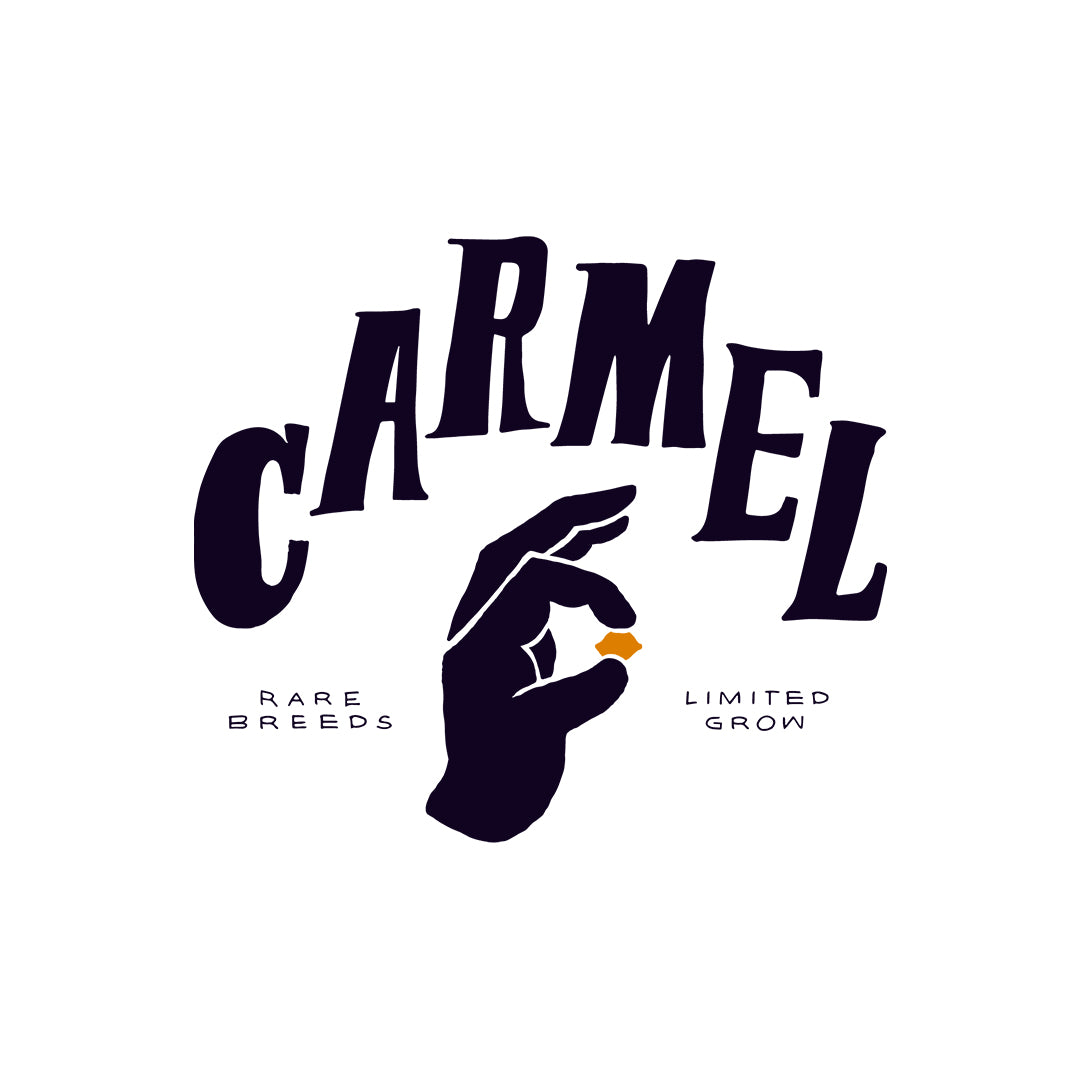 CARMEL ANIMAL FACE (S) PRE-ROLL - 0.5G X 12