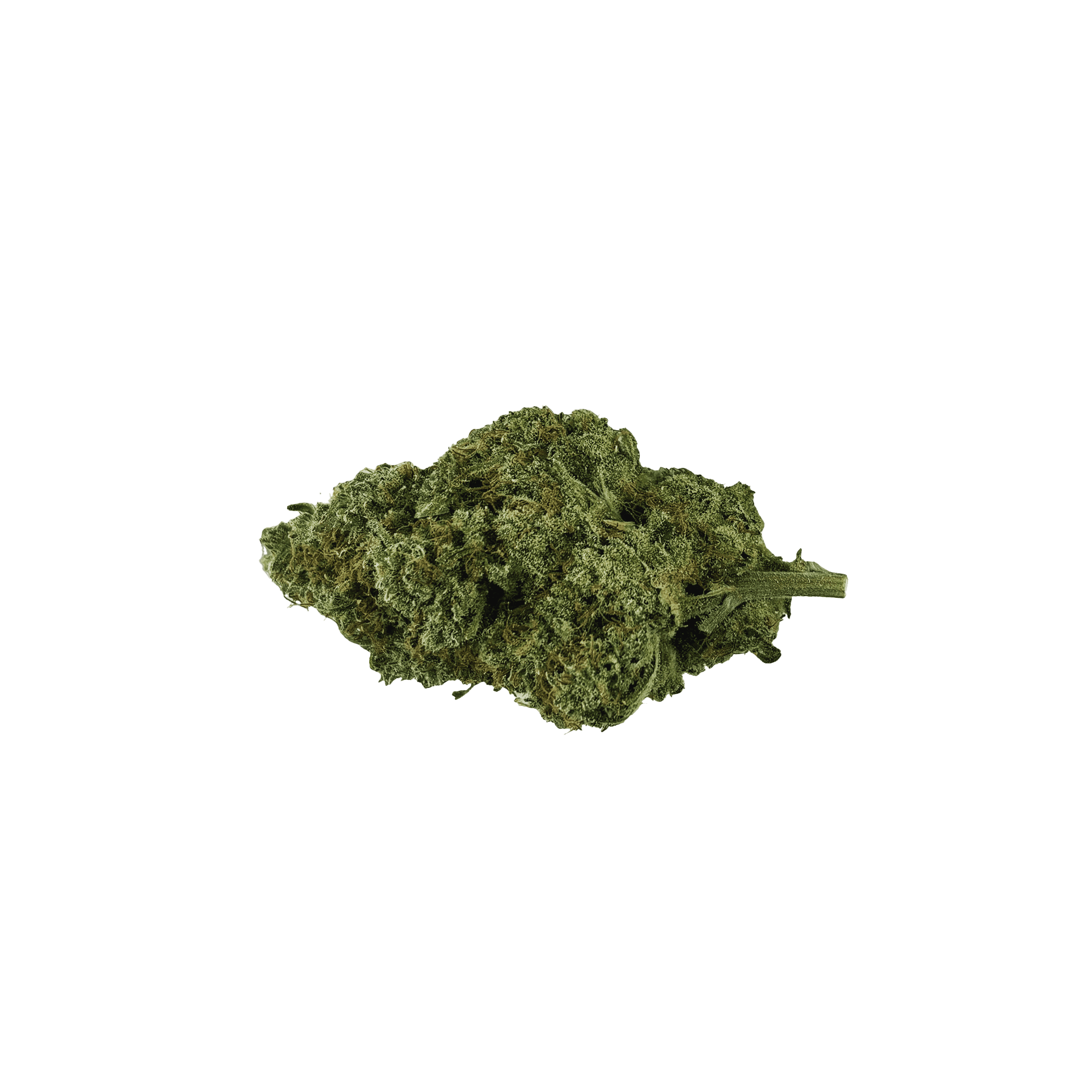 CANADIAN CANNABIS ORGANIC MANGO HASHPLANT (IND) DRIED - 28G